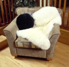 Click here to View our Sheepskin Rugs!