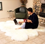 6-Pelt White